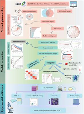 In silico identification and verification of Tanshinone IIA-related prognostic genes in hepatocellular carcinoma